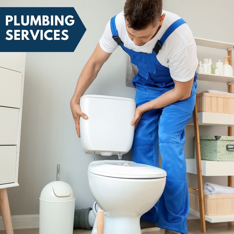 Plumbing Company in Eleroy, IL